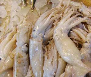 Calamari alla senape