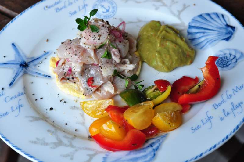Il nuovo menu del Ristorante Panama di Alassio ed una ricetta dello Chef: ceviche di ricciola